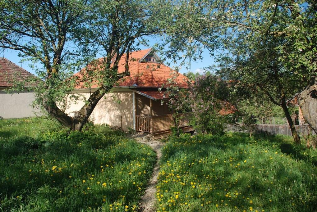 Birdsong Cottage - Peaceful Country Retreat Păuleni-Ciuc Exterior foto
